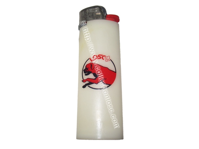 briquet-1.jpg