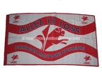 drapeau-losc-5