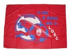 drapeau-losc-7