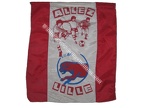 drapeau-losc-8