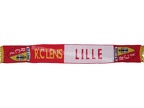 ehc-lens-lille-3