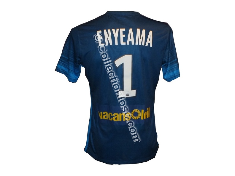enyeama_1516_dos.jpg