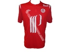 Maillot du LOSC porté par GERVINHO en L1 saison 2010/2011