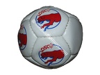 Ballon foot LILLE LOSC
