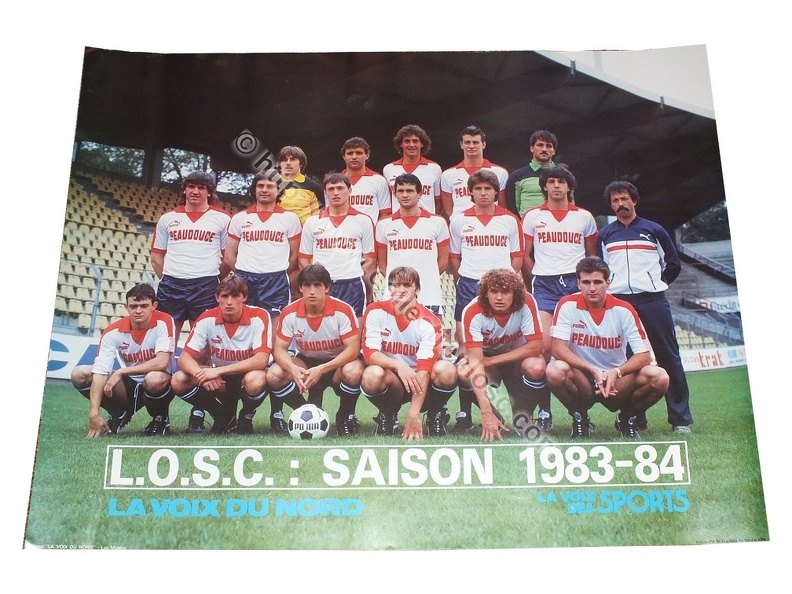 poster-losc-8384.jpg